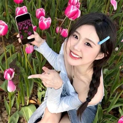 一招半式闯江湖